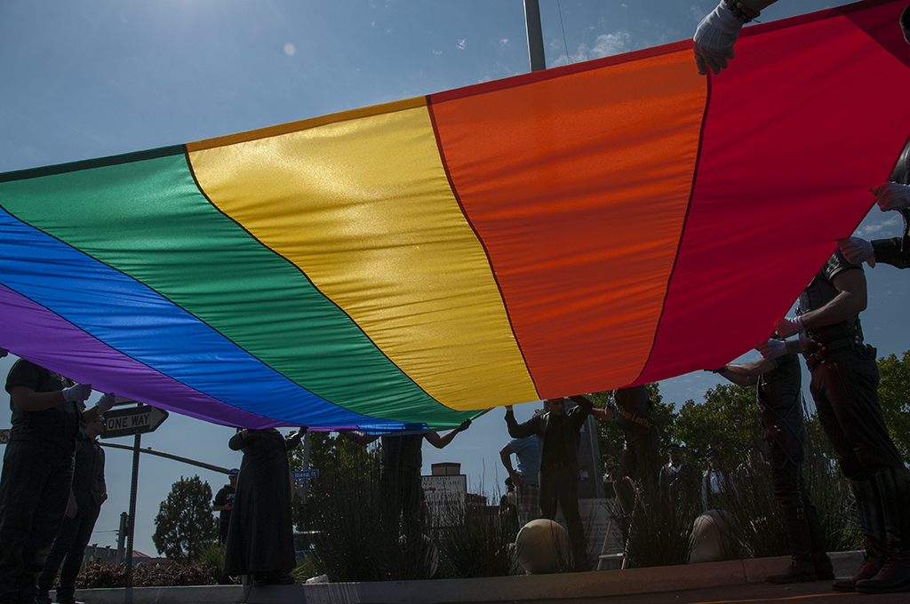 Leather Pride Flag - DSC_7964.jpg